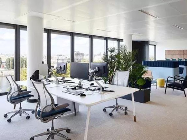 溫馨(xin)的(de)空(kong)間怎麼能少的了時(shi)尚辦(ban)公槕椅(yi)